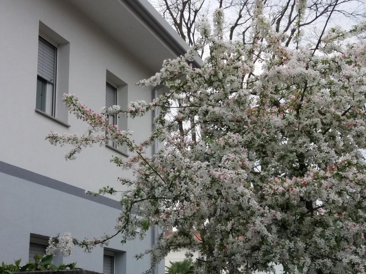 Civico 51 B&B 乌迪内 外观 照片